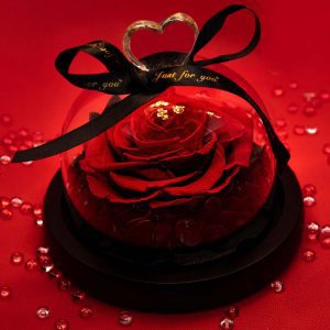 Echte konservierte ewige Rose im Glas – Just For You