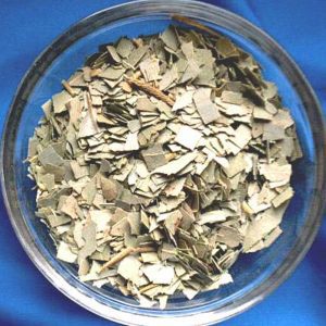 Eukalyptusblätter (Reinigung) – 50 ml