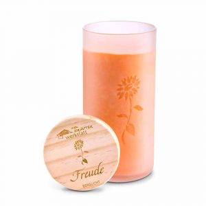 Freude – “Naturkraft-Berglicht” Heilkräuter-Glaskerze