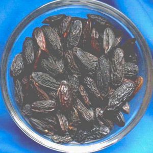 Tonkabohnen (Schutz) – 50 ml