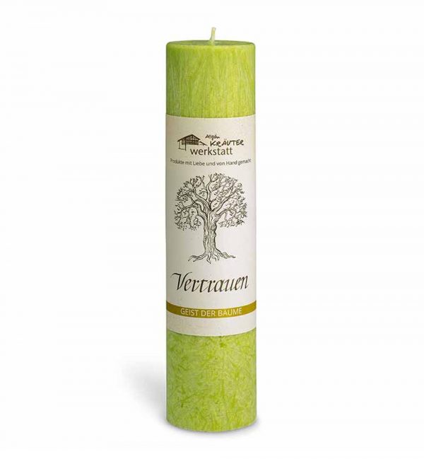 Vertrauen - Die Birke - "Geist der Bäume" Heilkräuterkerze