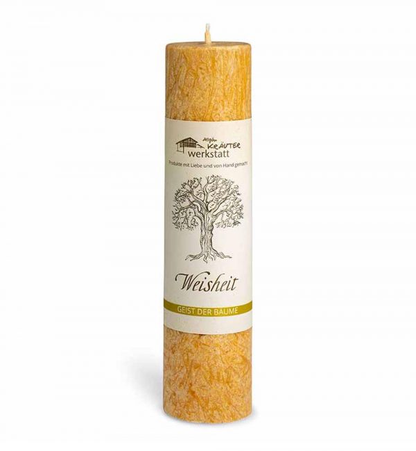 Weisheit - Die Buche - "Geist der Bäume" Heilkräuterkerze
