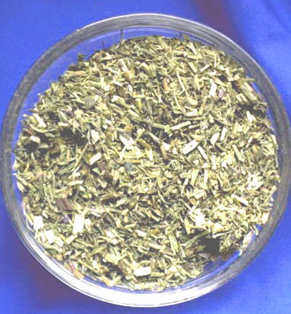 Ysopkraut (Vision, Mut) - 50 ml